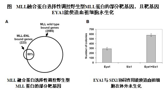 兴发娱乐·(中国)官网登录入口