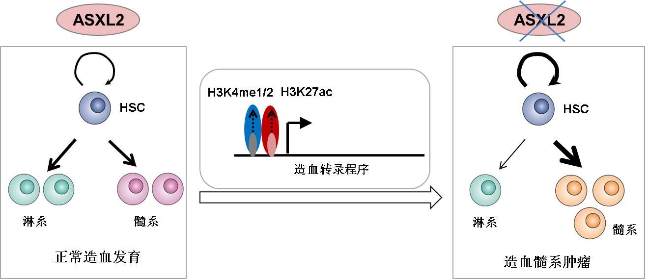 兴发娱乐·(中国)官网登录入口